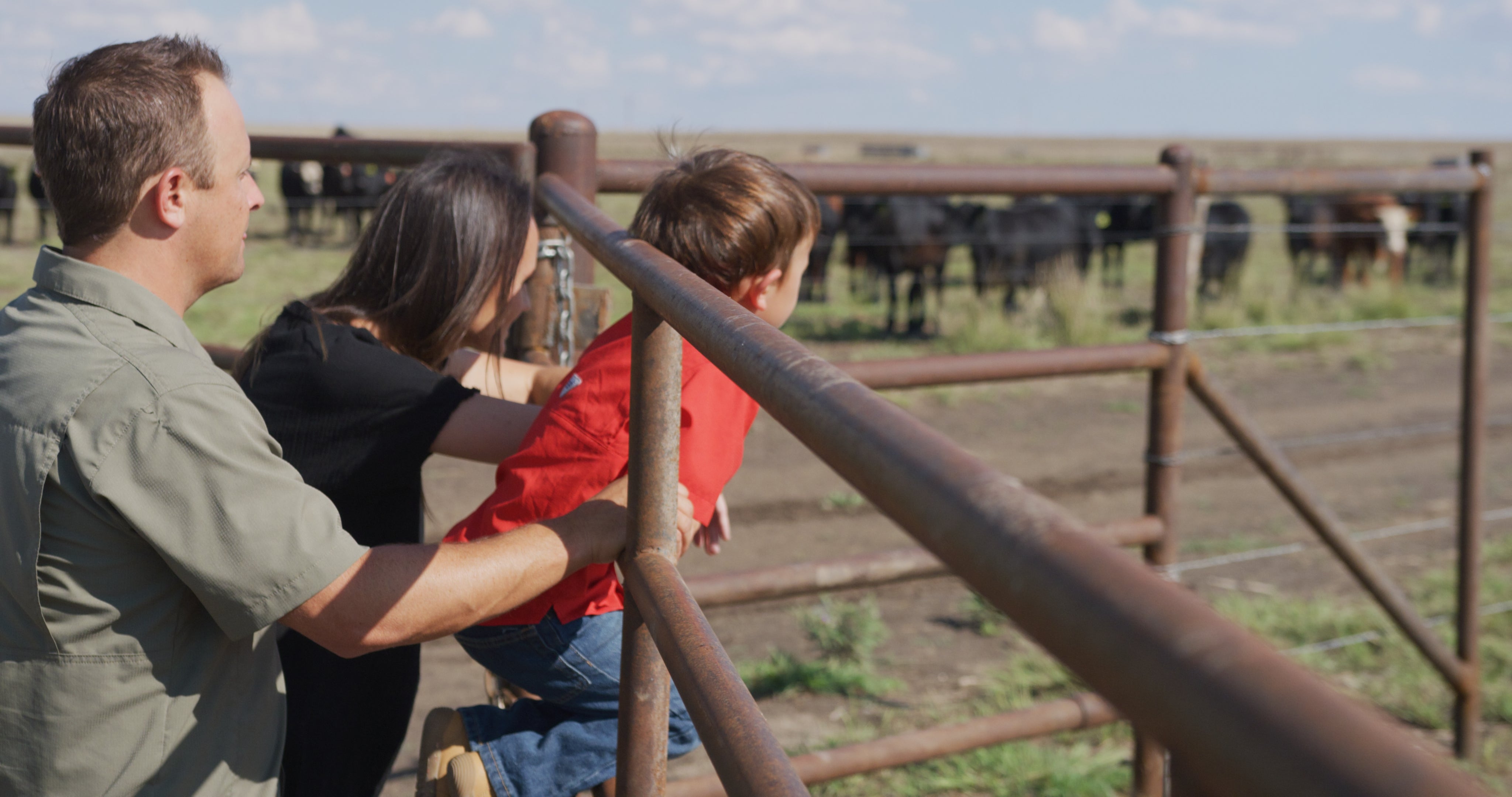 Lofton Family looking at the Cattle for AHBEEF